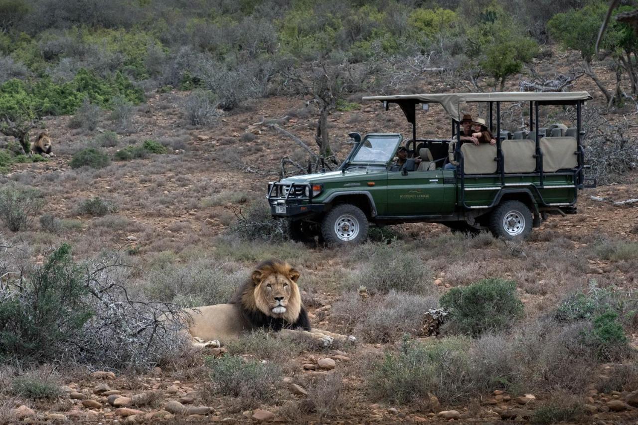 Kuzuko Lodge Addo Exterior foto