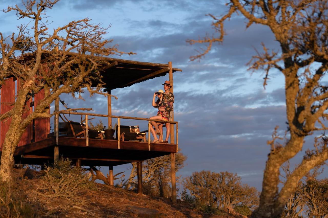 Kuzuko Lodge Addo Exterior foto